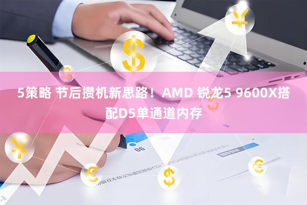 5策略 节后攒机新思路！AMD 锐龙5 9600X搭配D5单通道内存