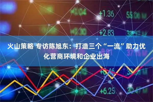 火山策略 专访陈旭东：打造三个“一流”助力优化营商环境和企业出海
