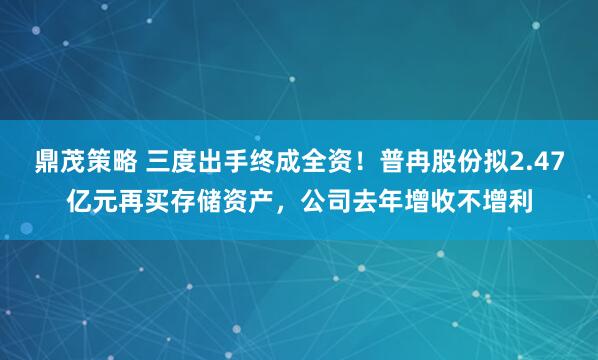 鼎茂策略 三度出手终成全资！普冉股份拟2.47亿元再买存储资产，公司去年增收不增利