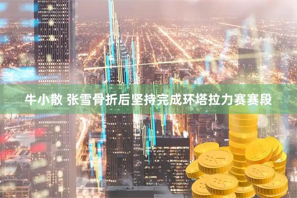 牛小散 张雪骨折后坚持完成环塔拉力赛赛段
