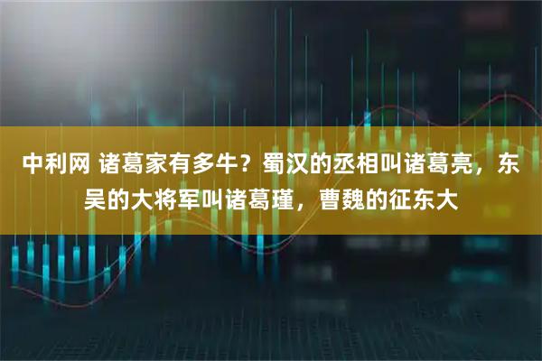 中利网 诸葛家有多牛？蜀汉的丞相叫诸葛亮，东吴的大将军叫诸葛瑾，曹魏的征东大