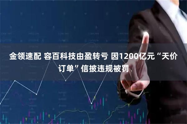 金领速配 容百科技由盈转亏 因1200亿元“天价订单”信披违规被罚